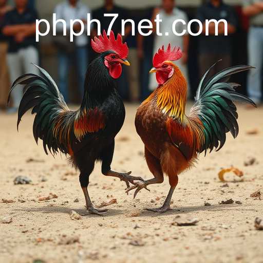 Cockfighting: A Tradition Under Scrutiny